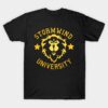 Stormwind University World Of Warcraft Tee T-Shirt Official World of Warcraft Merch Store