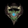 Druid Elite Edition V2 Mug Official World of Warcraft Merch Store